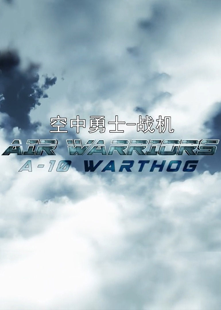 空中勇士-战机第二季