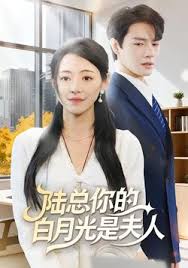 陆总你的白月光是夫人