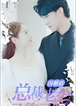 闪婚后总裁老公又欲又野