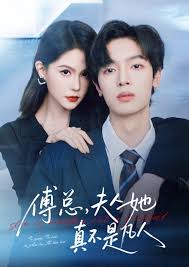 傅总，夫人她真不是凡人