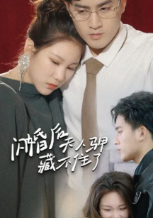 闪婚后夫人马甲藏不住了