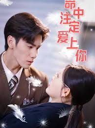 命中注定爱上你