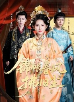 锦帐春风拂旧尘