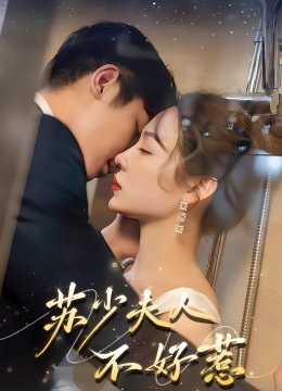 苏少夫人不好惹