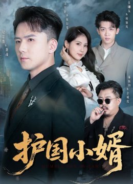 护国小婿