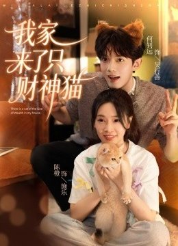 我家来了只财神猫