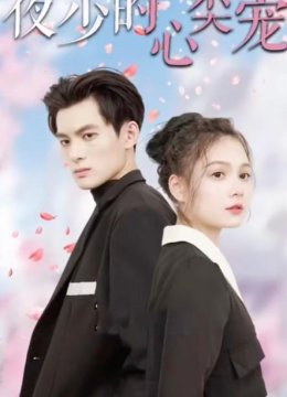 夜少的心尖宠