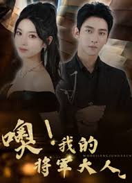 噢我的将军大人