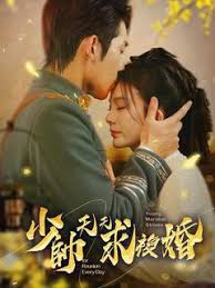 少帅天天求复婚