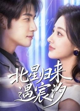 北星归来遇宸汐