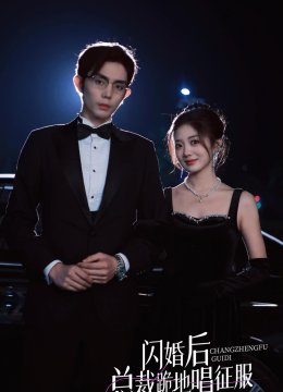 闪婚后总裁跪地唱征服