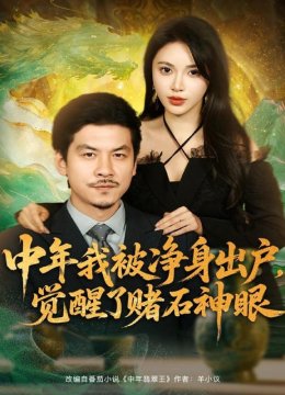 中年我被净身出户，觉醒了赌石神眼