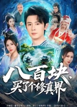 八百块，买了个修真界