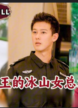 龙山的冰山女总裁