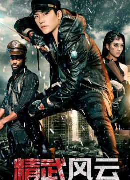 精武风云