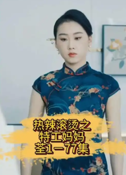 热辣滚烫之特工妈妈
