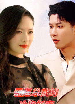 霸道总裁的冷艳娇妻