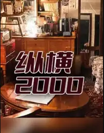 纵横2000