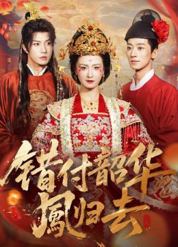 错付韶华凤归去