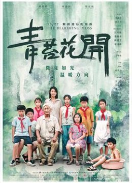 青苔花开