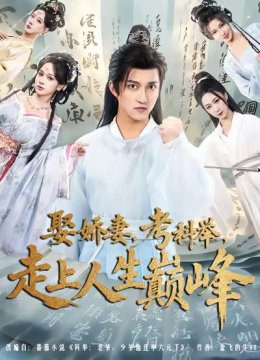 娶娇妻，考科举，走上人生巅峰