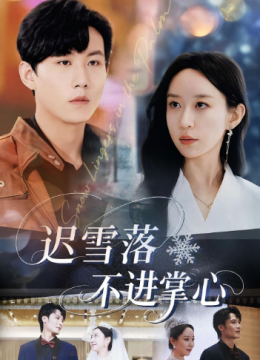 迟雪落不进掌心