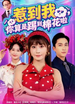 惹到我，你算是踢到棉花啦