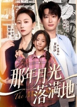 那年月光落满地