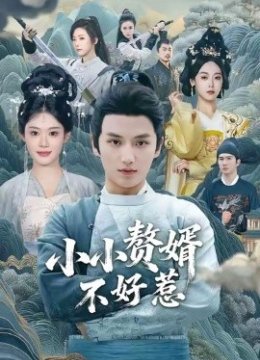 小小赘婿不好惹