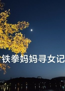铁拳妈妈寻女记