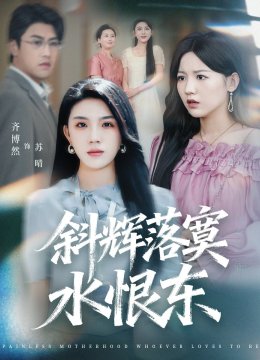 斜辉落寞水恨东