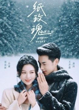 纸玫瑰第二部