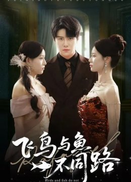 飞鸟与鱼不同路