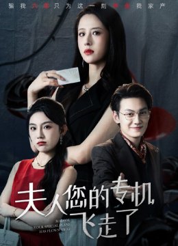 夫人您的专机飞走了