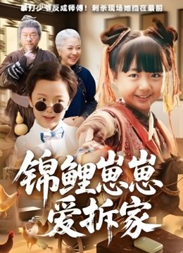 锦鲤崽崽爱拆家