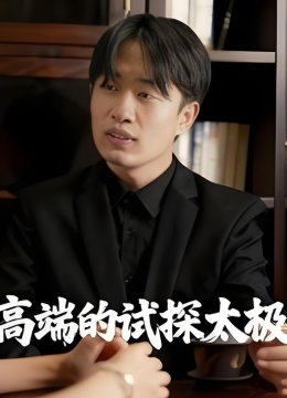 高端的试探太极
