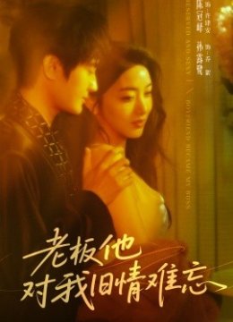老板他对我旧情难忘