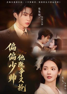 偏偏少帅他既争又抢