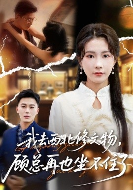 我去西北修文物顾总再也坐不住了