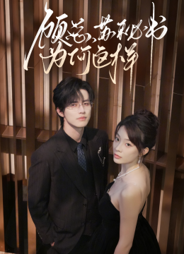 顾总苏秘书为何这样