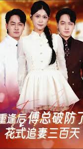 重逢后傅总破防了花式追妻三百天