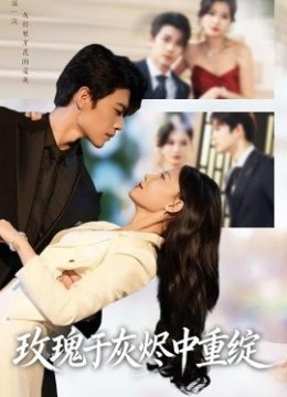 玫瑰于灰烬中重绽