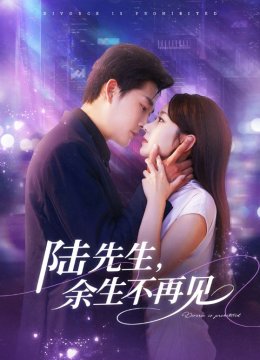 陆先生余生不再见