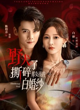野犬撕碎了那女孩的白婚纱