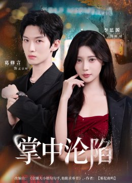 掌中沦陷