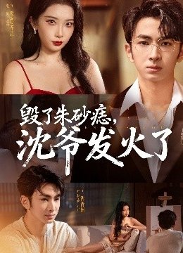 毁了朱砂痣沈爷发火了