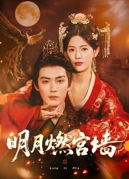 明月燃宫墙