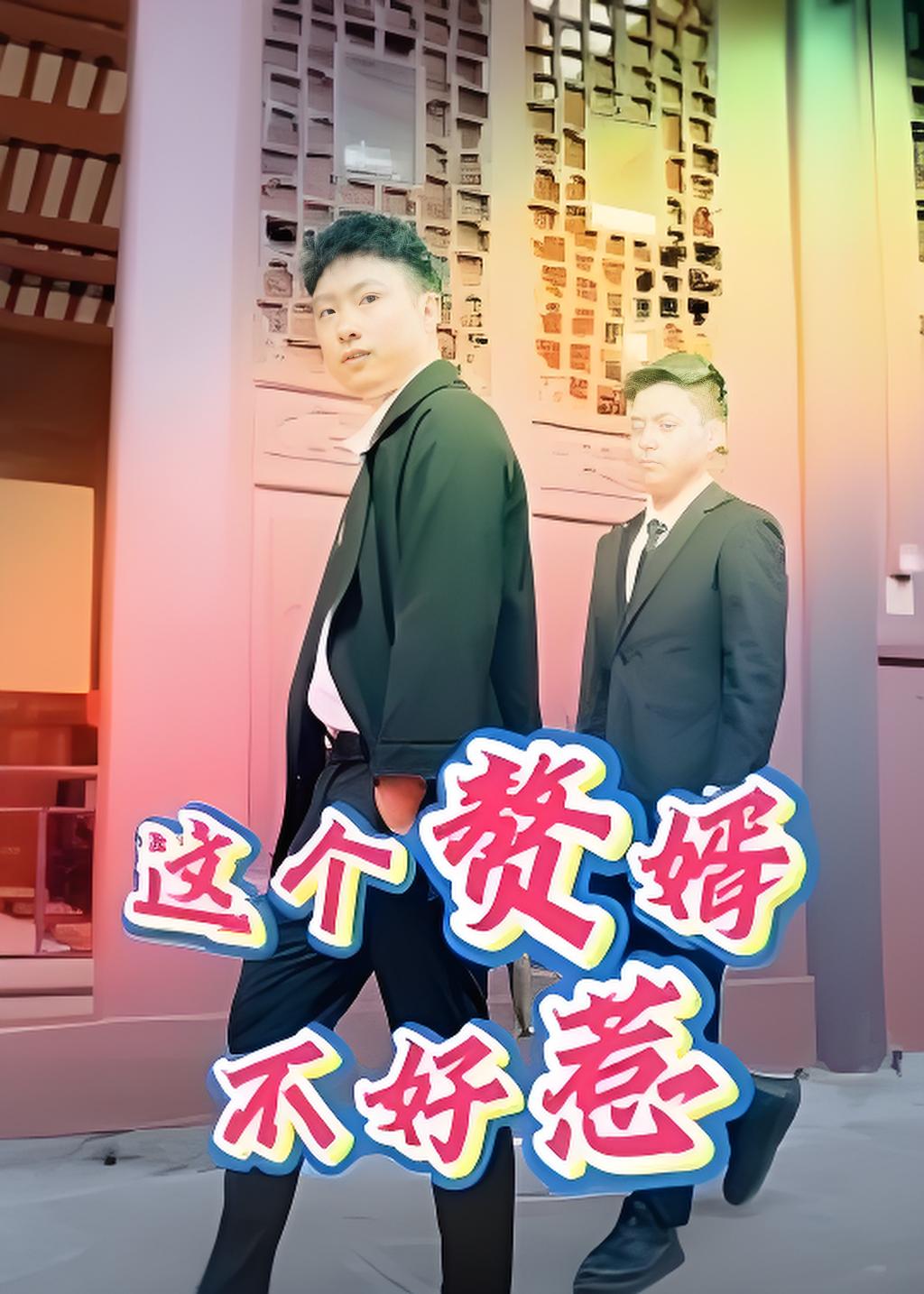 这个赘婿不好惹