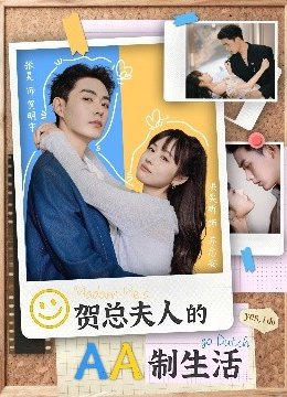 贺总夫人的AA制生活