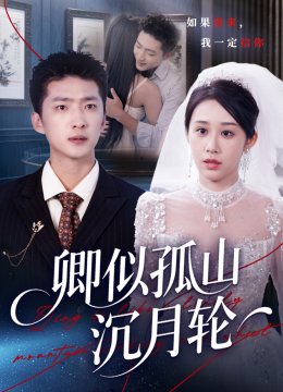 卿似孤山沉月轮